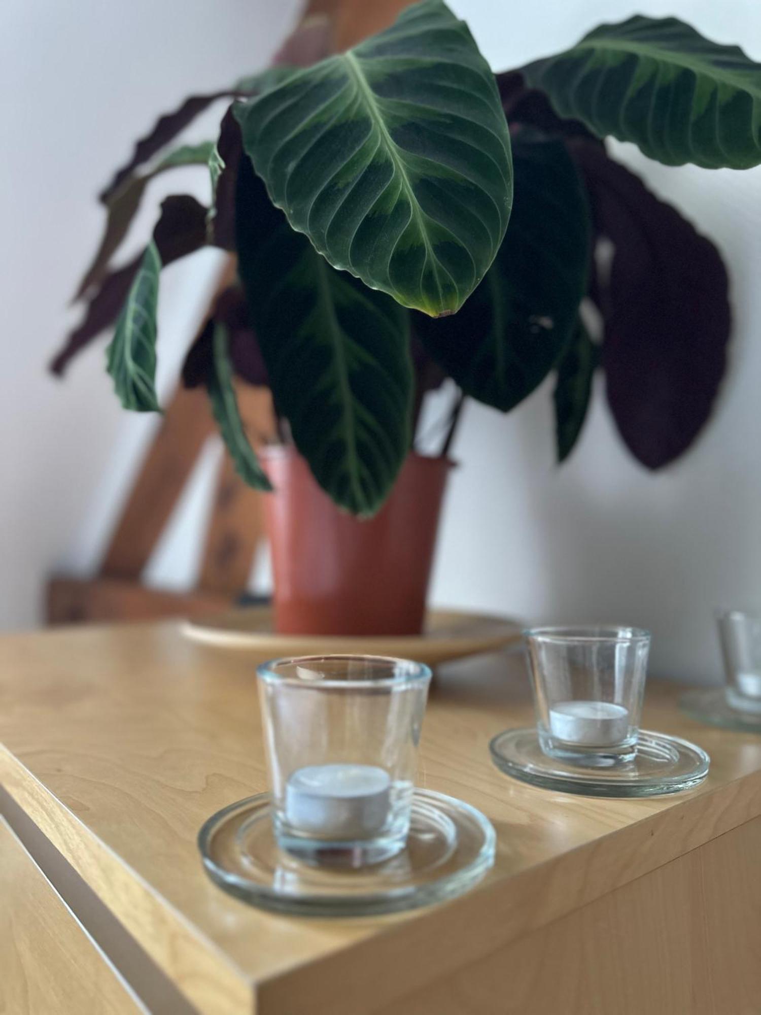 Family Oasis With 3 Bedrooms Near Paris Chennevières-sur-Marne 외부 사진